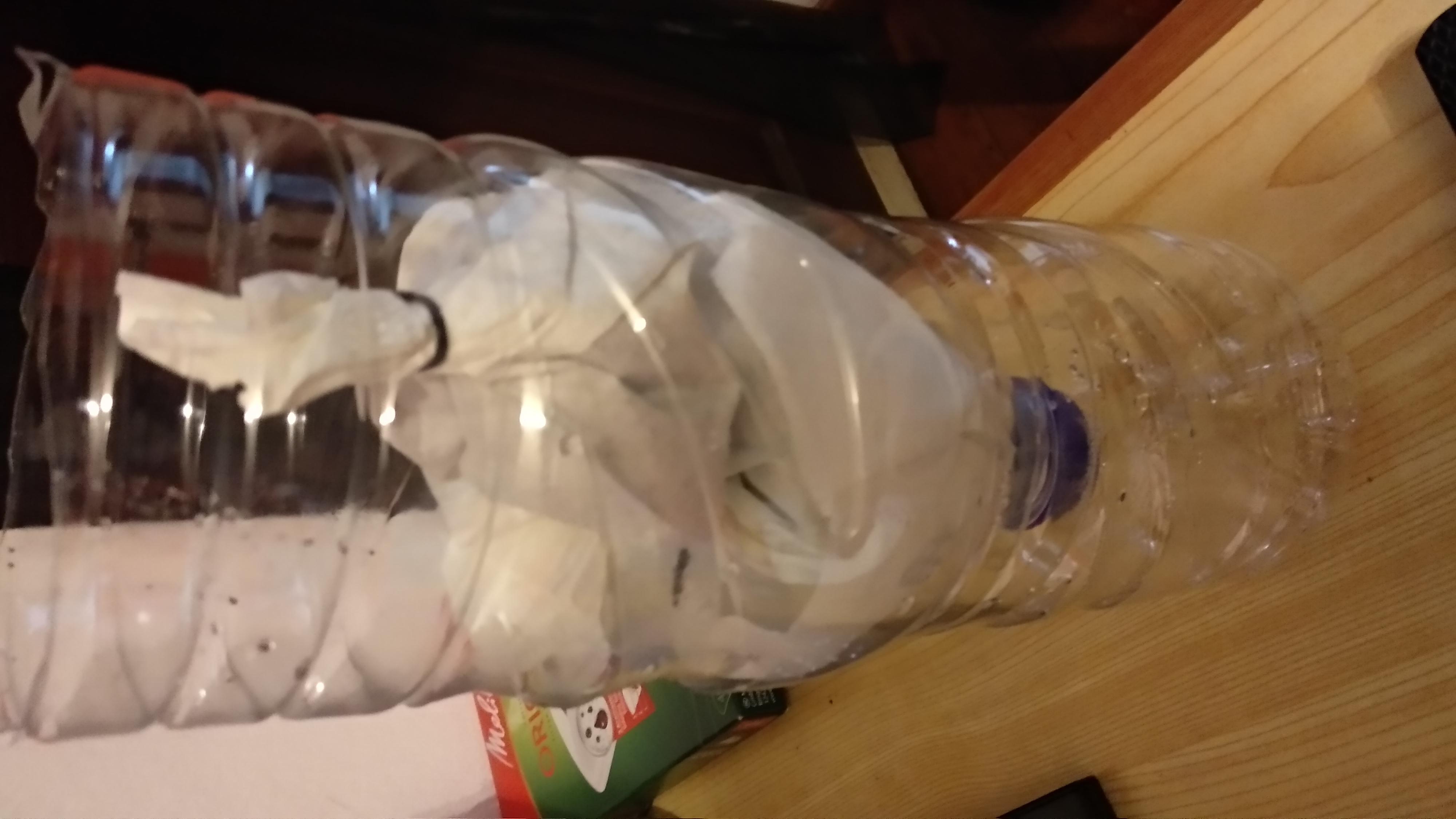 IMG_20181201_235500_HHT.cleaned.jpg